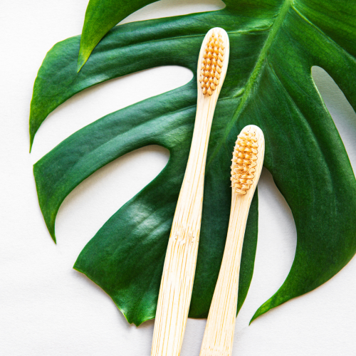 Comment recycler et réutiliser sa brosse à dents ?